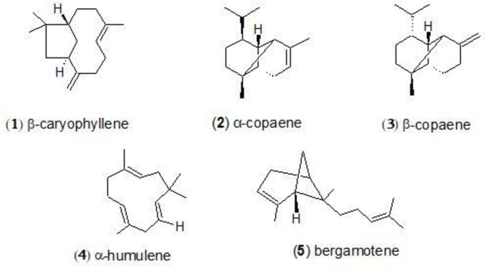 FIGURE 1