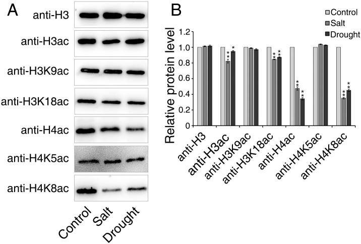 Figure 7