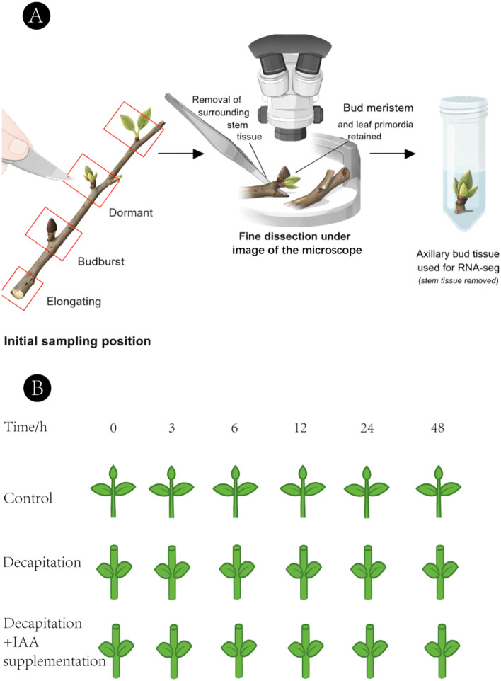 Figure 1