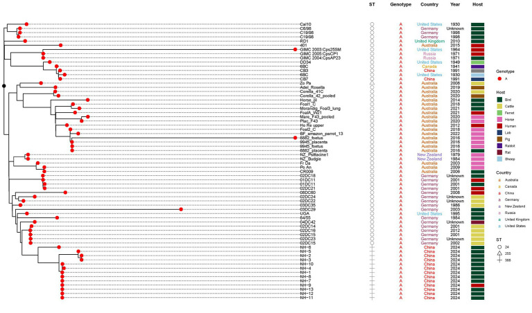 Figure 6