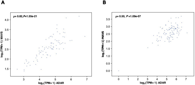 Figure 6