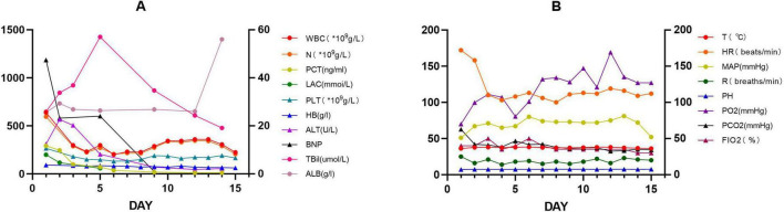 FIGURE 3