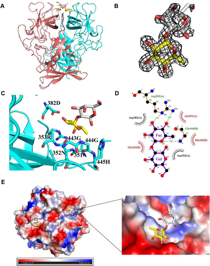 FIGURE 4