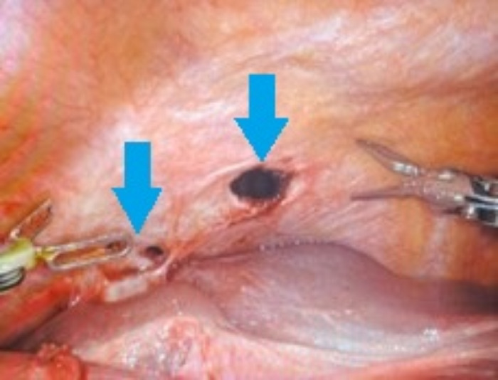 Figure 5