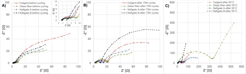 Fig. 10