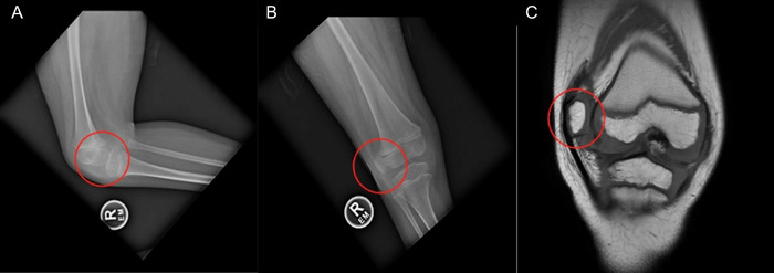Figure 4