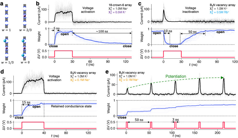FIGURE 4