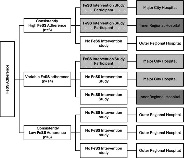 FIGURE 1