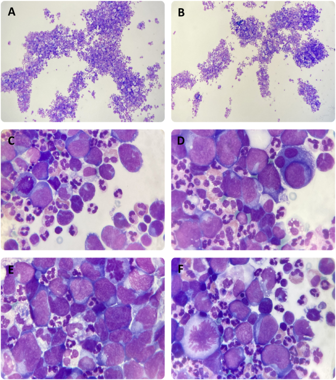 Figure 2