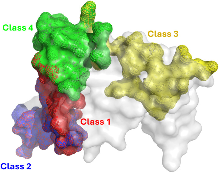 Fig. 2
