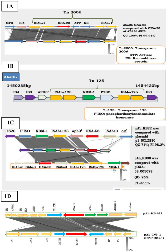 Fig 1