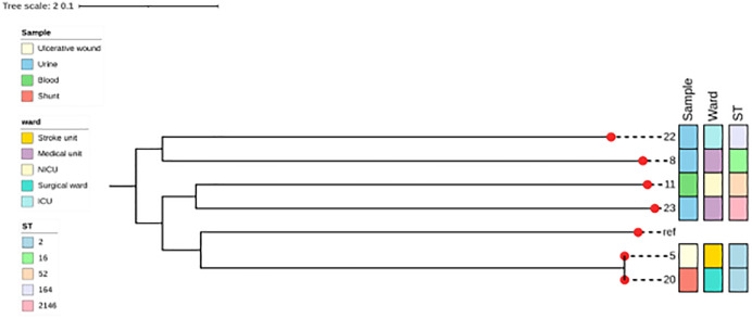 Fig 2