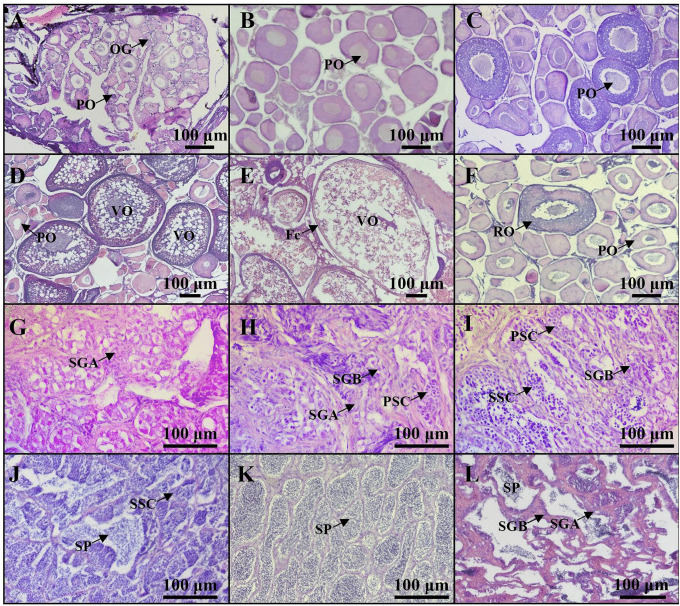 Fig 4