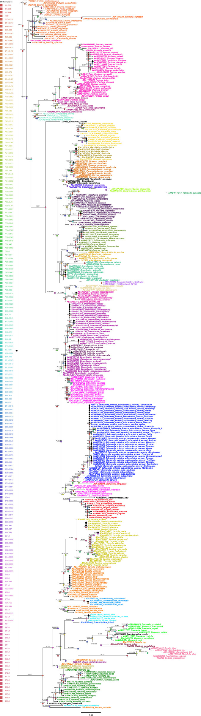 Fig 5