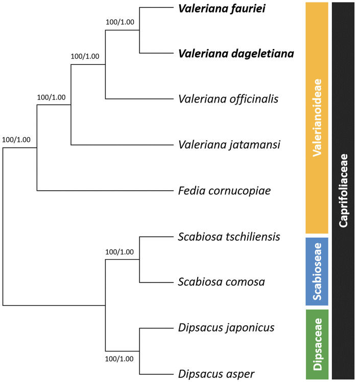 Fig 6