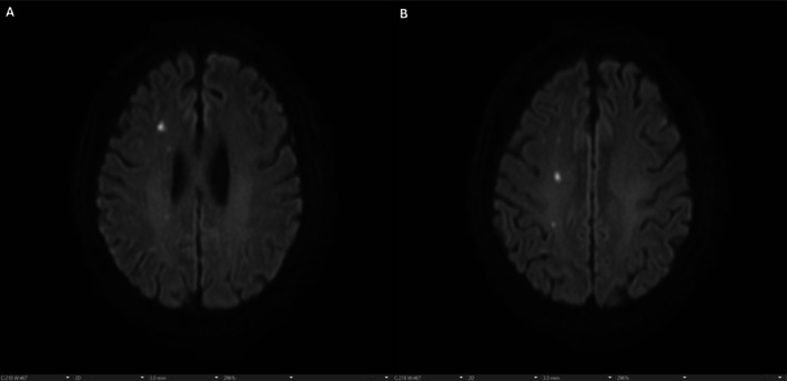 FIGURE 2