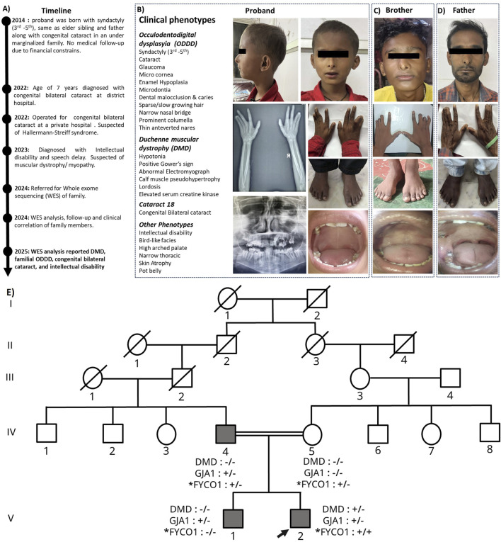 FIGURE 1