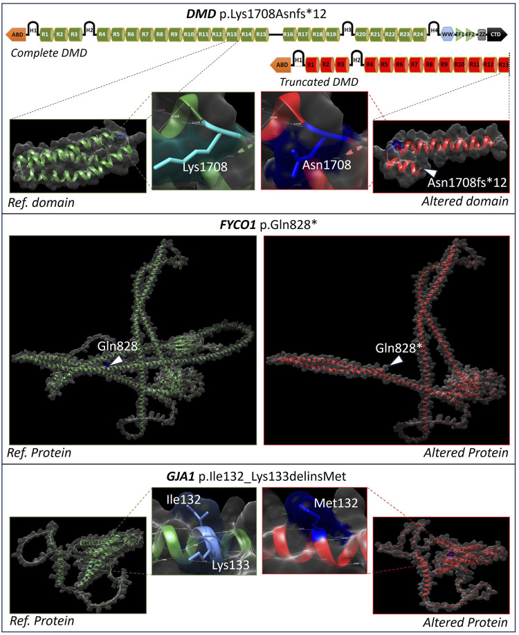 FIGURE 2