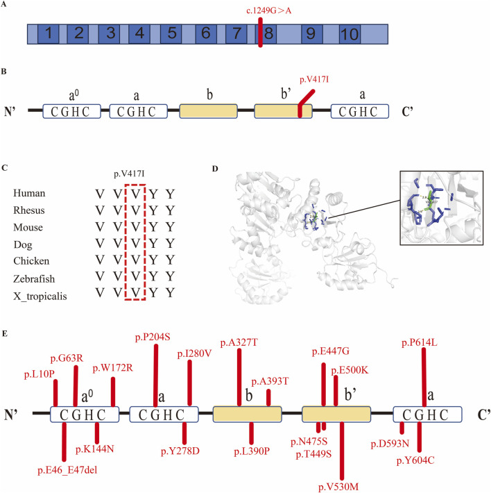 FIGURE 2