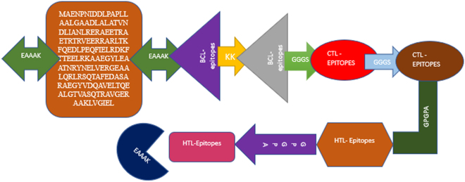Figure 3