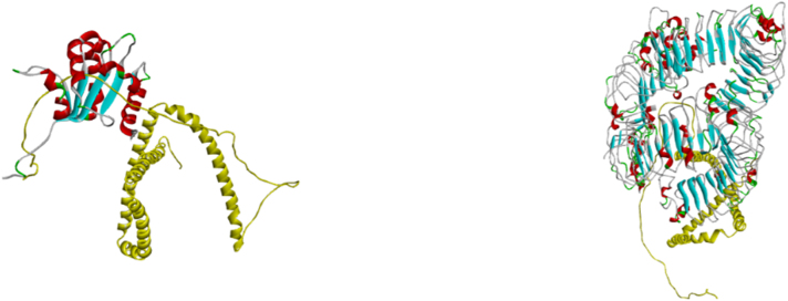 Figure 6