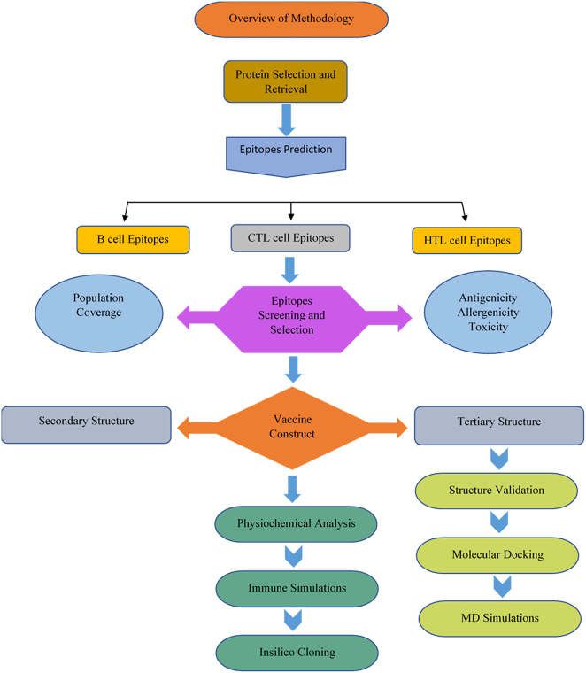 Figure 1