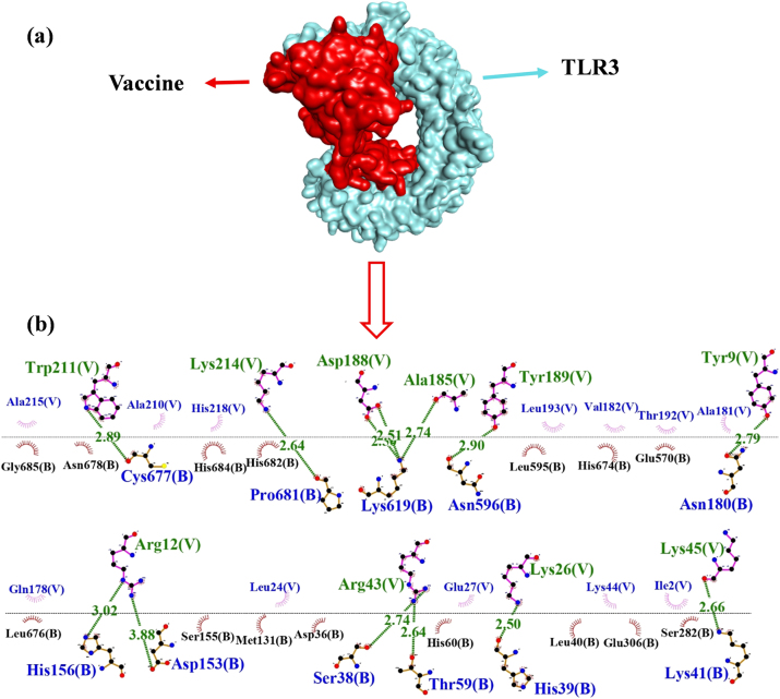 Figure 6