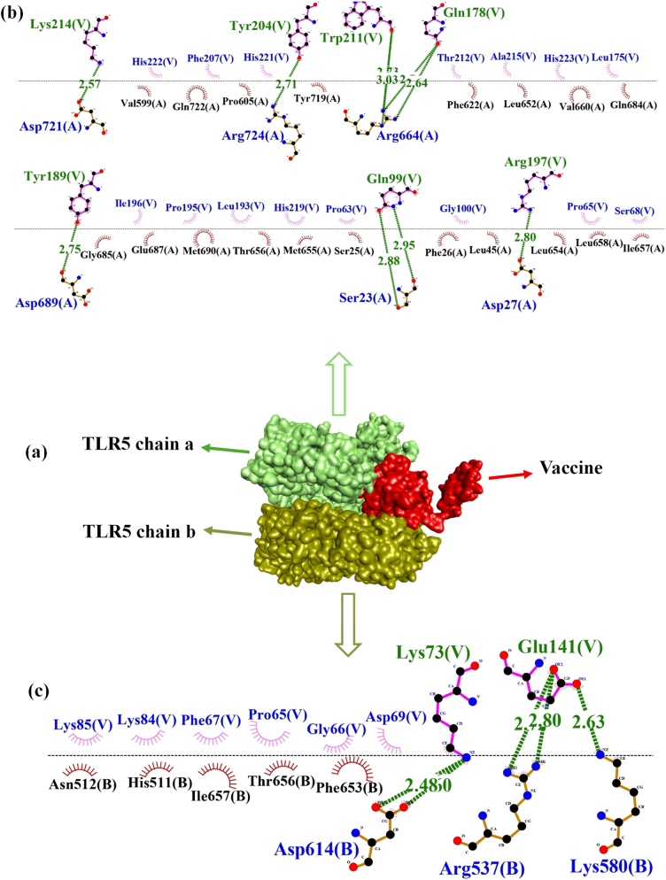 Figure 7