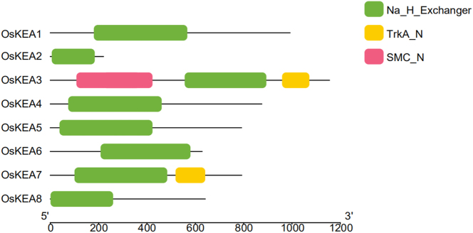 Figure 1