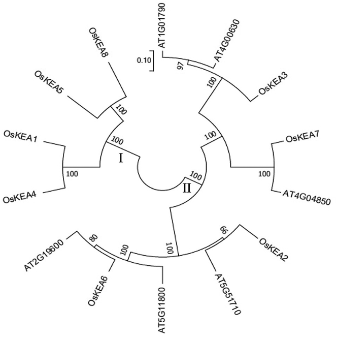 Figure 3