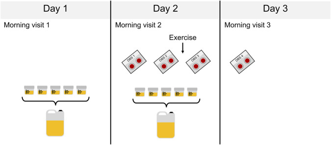 FIGURE 1