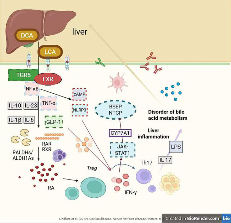 Figure 2