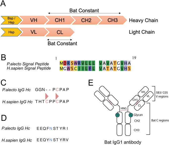 Figure 1