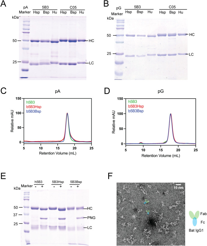 Figure 2
