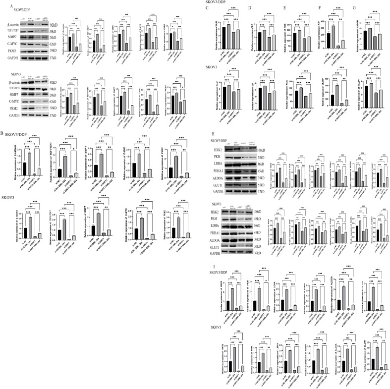 Figure 5