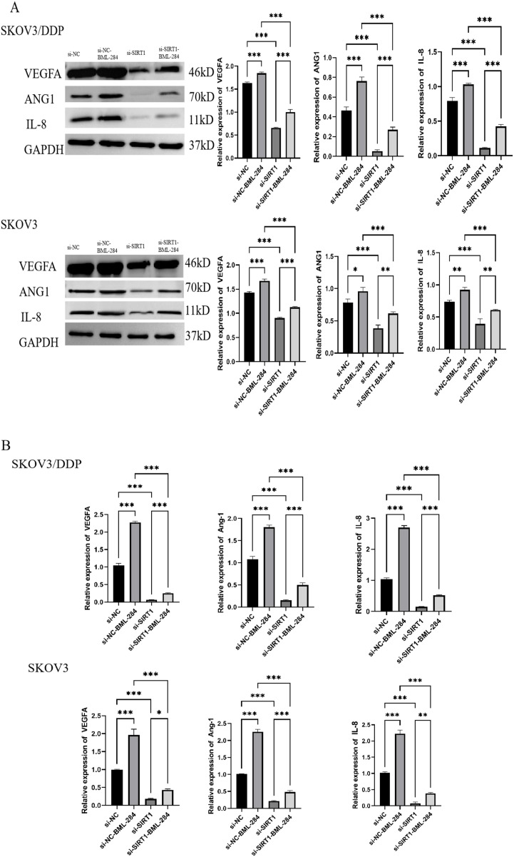 Figure 6