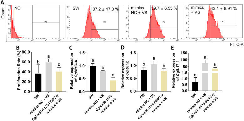 Figure 7