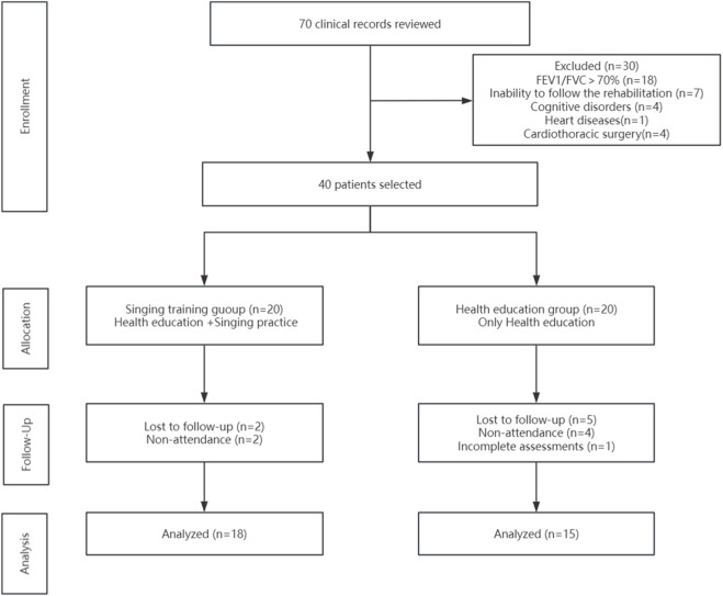 FIGURE 1