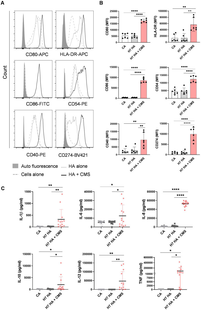 Figure 2