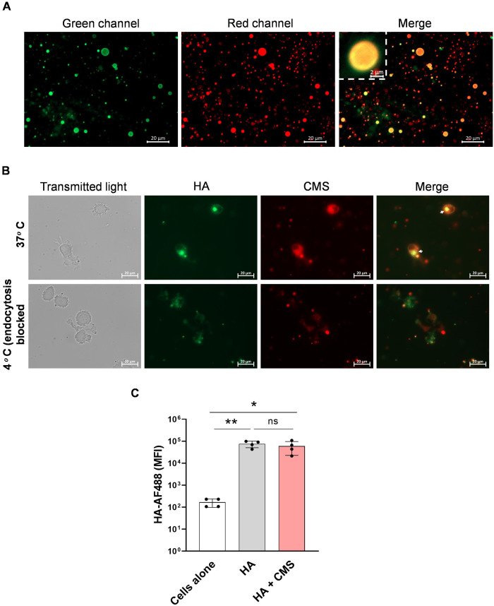 Figure 3