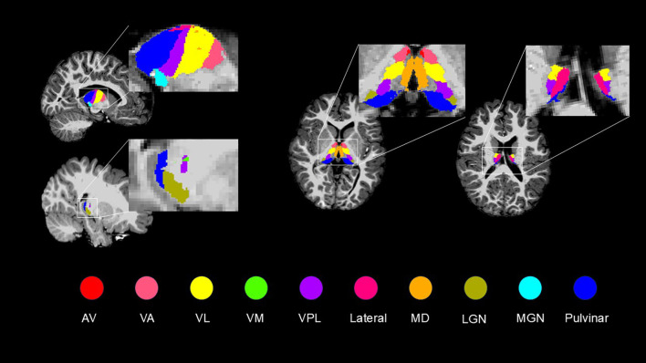Figure 2