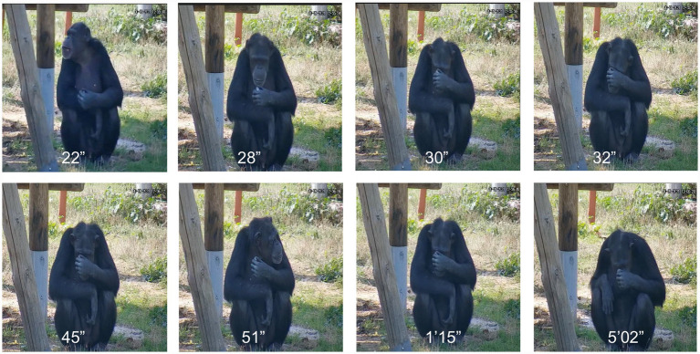 Figure 7