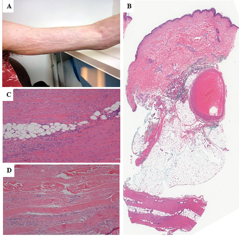 Figure 3