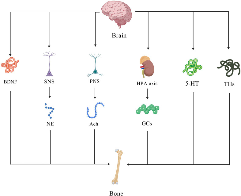 Figure 1