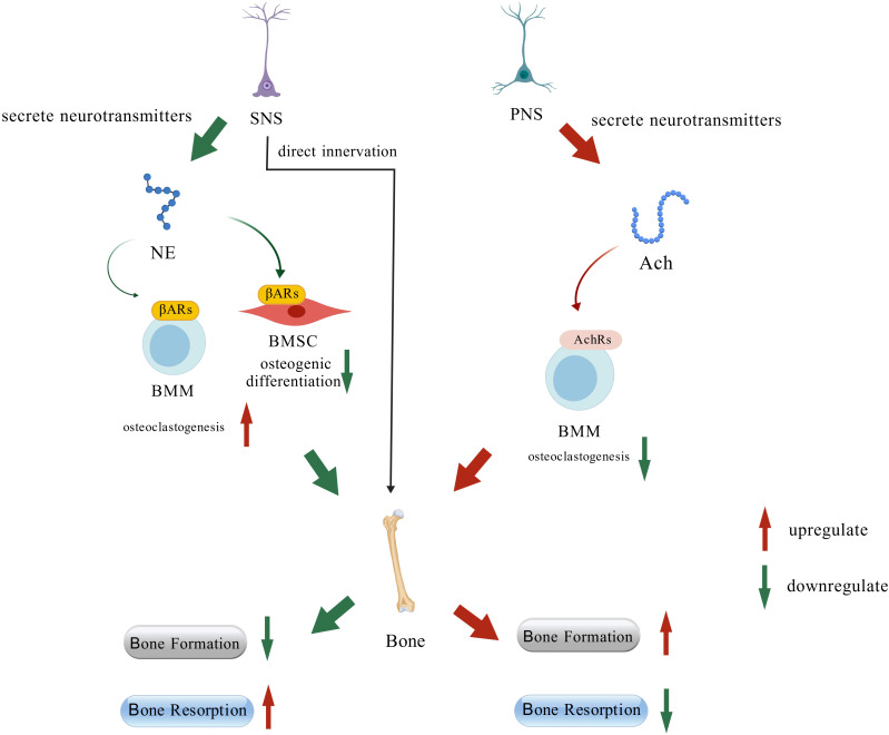 Figure 3