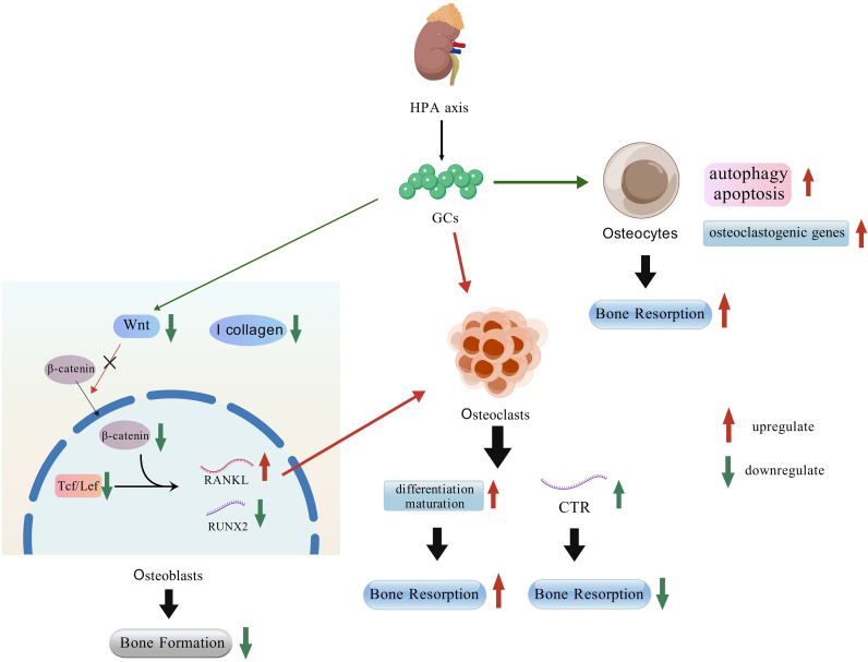 Figure 4