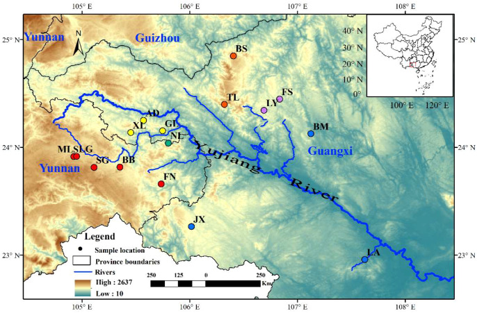 Figure 1
