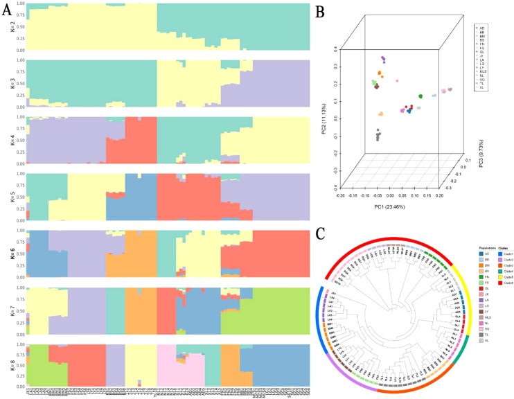 Figure 3