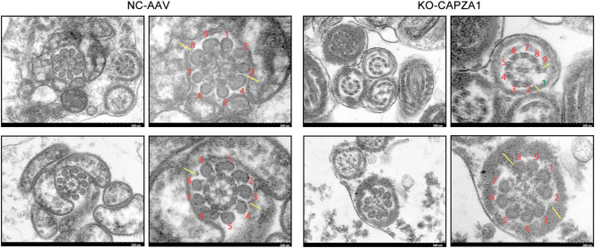 Figure 6