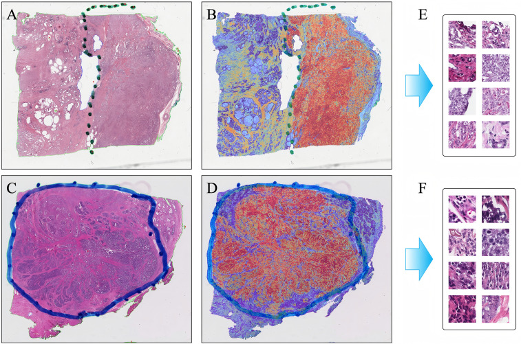 Figure 4
